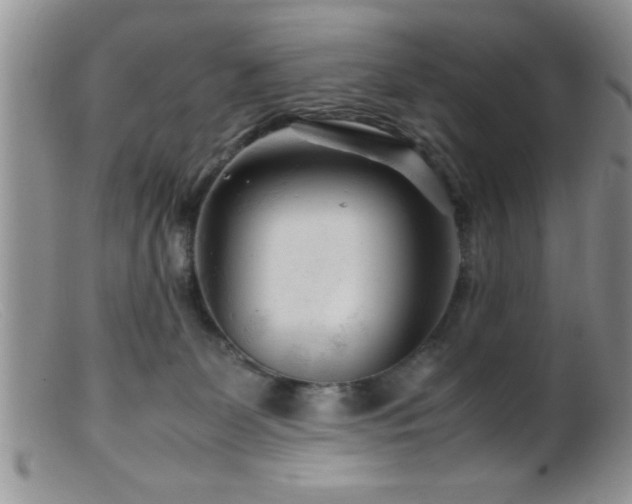 X0000099510131200805151509