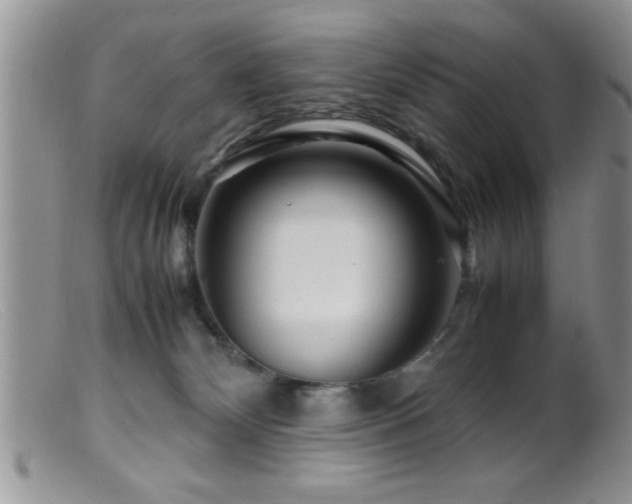 X0000099510132200805151509