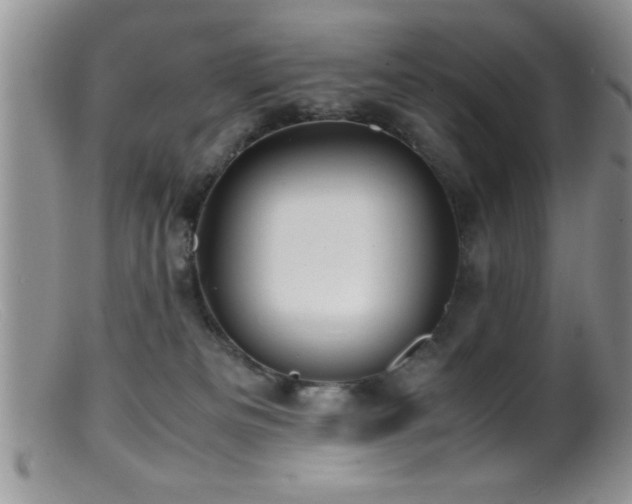 X0000099510133200805151509