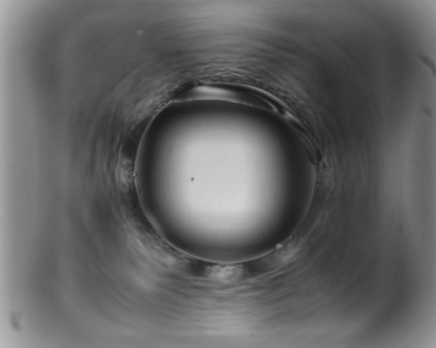 X0000099510135200805151509