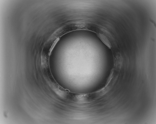 X0000099510136200805151509
