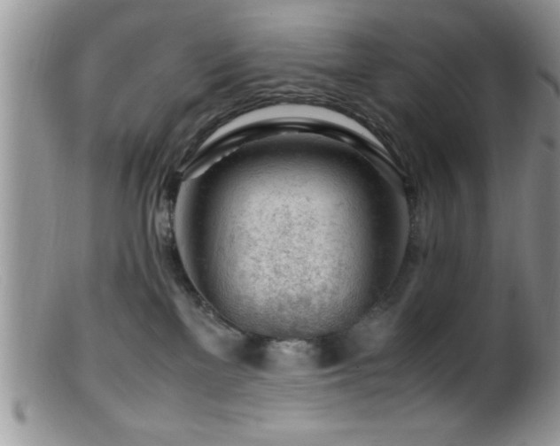 X0000099510137200805151509