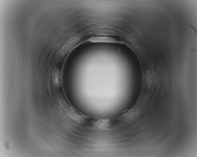 X0000099510138200805151509
