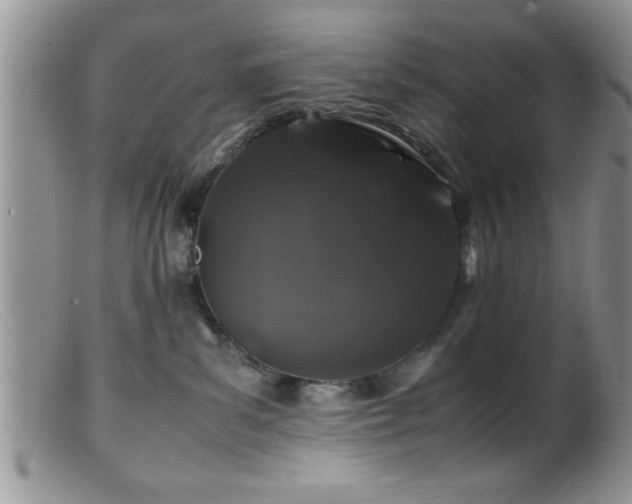 X0000099510139200805151509