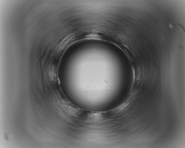 X0000099510140200805151509