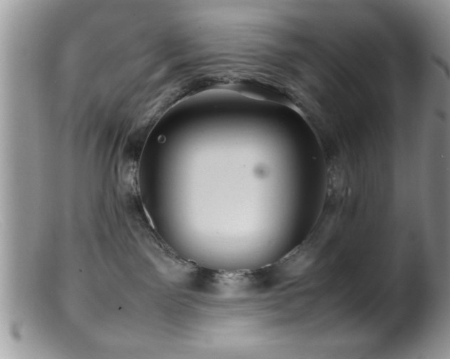 X0000099510141200805151509