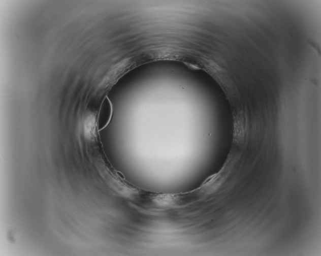 X0000099510142200805151509