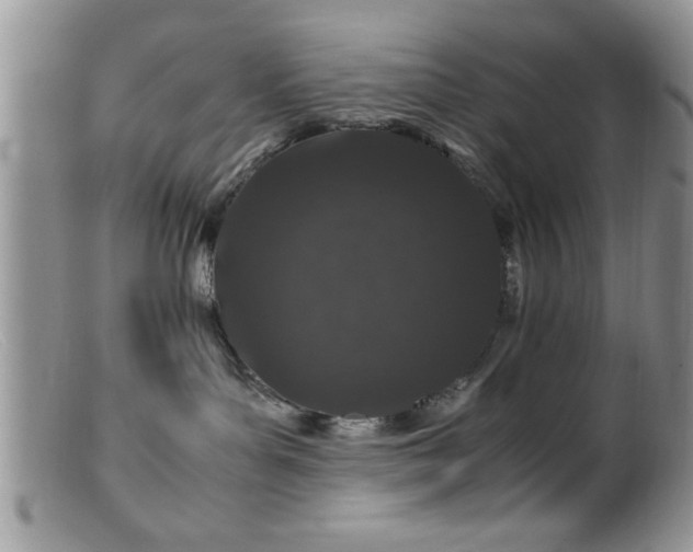 X0000099510143200805151509