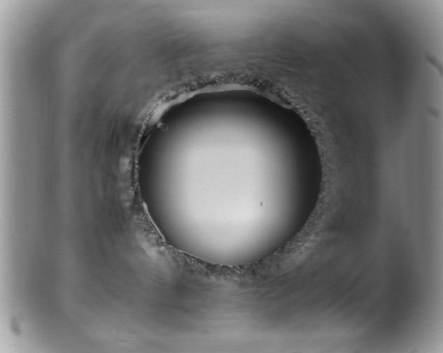 X0000099510144200805151509