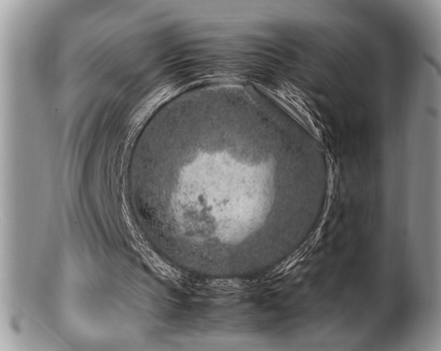 X0000099510145200805151508