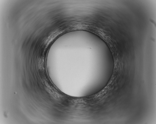 X0000099510146200805151508