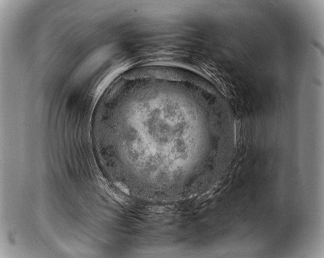 X0000099510147200805151508