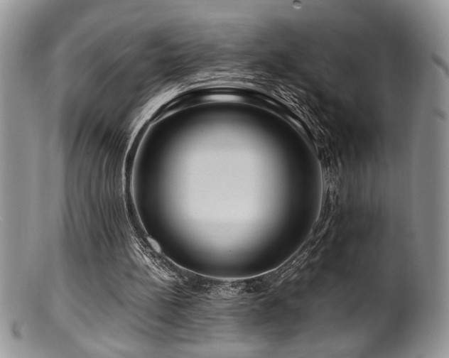 X0000099510148200805151508