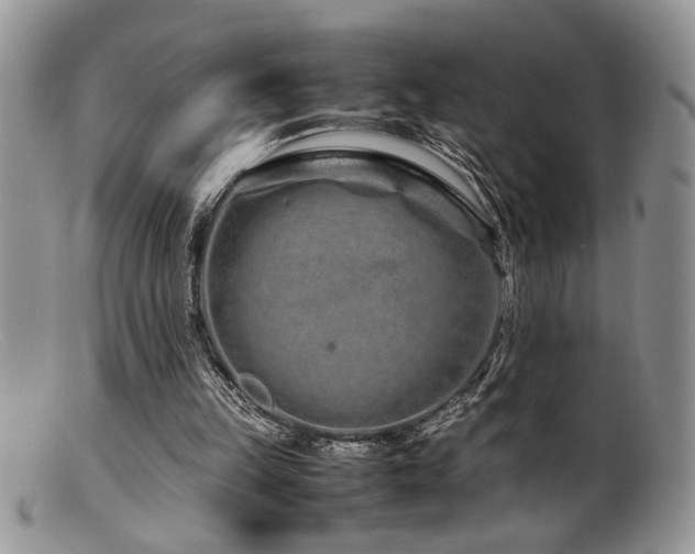 X0000099510149200805151508