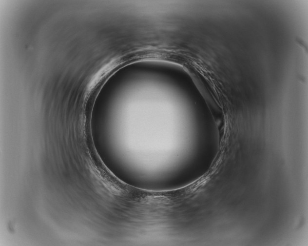 X0000099510150200805151508