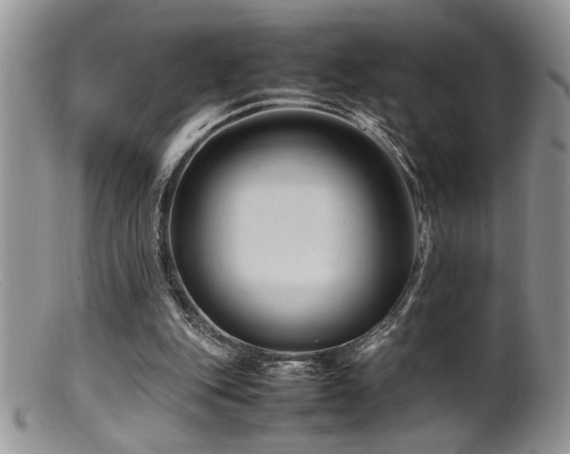 X0000099510151200805151508
