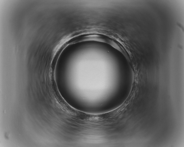 X0000099510152200805151508