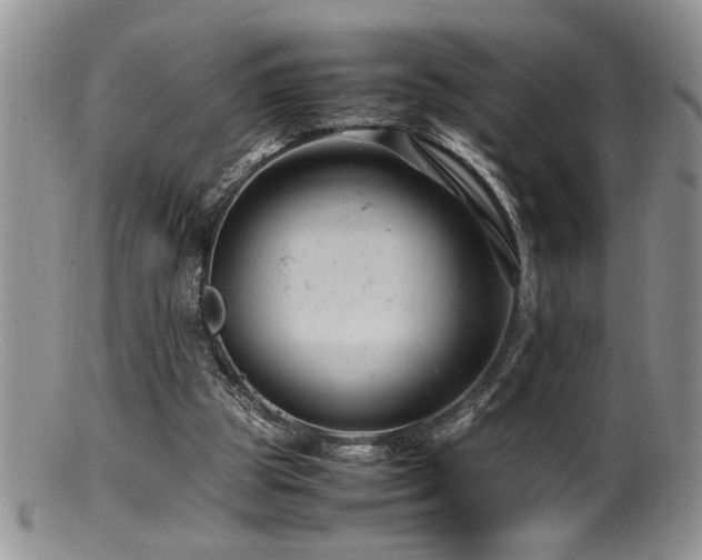 X0000099510153200805151508