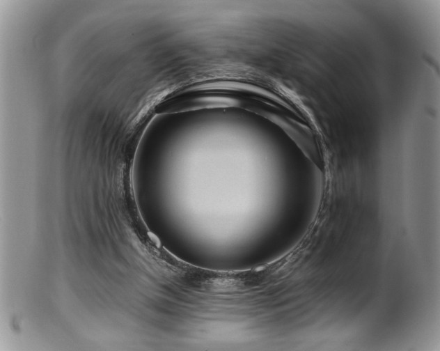 X0000099510154200805151508