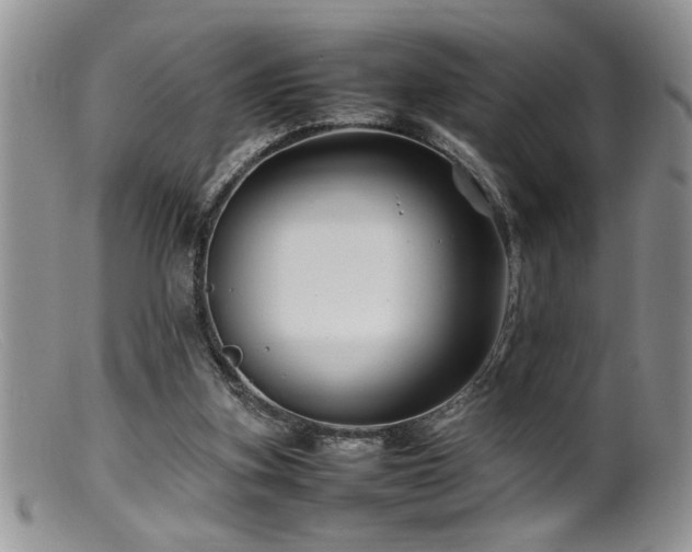 X0000099510155200805151508