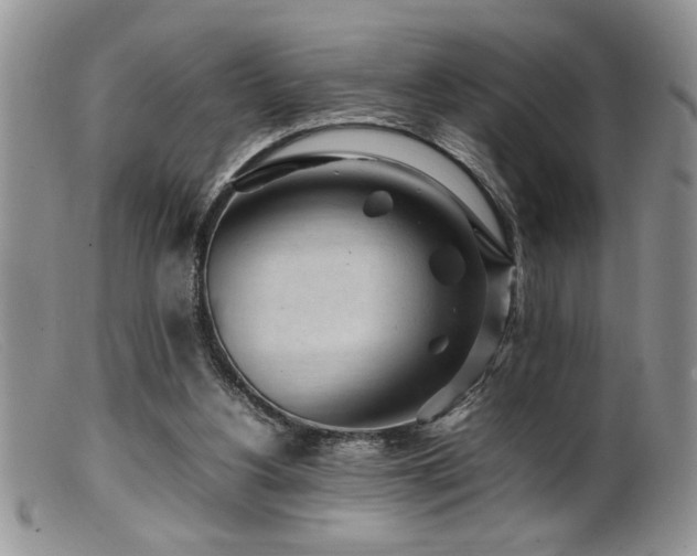 X0000099510156200805151508