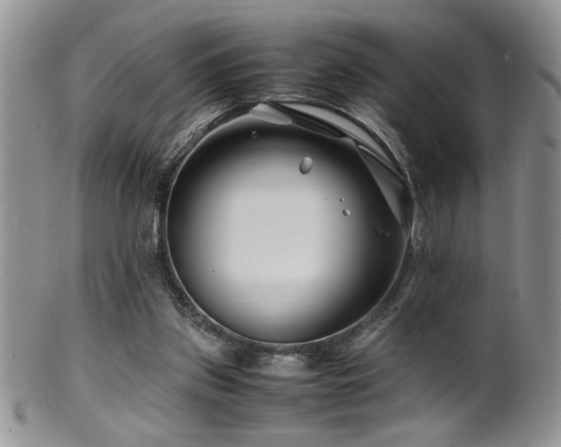 X0000099510157200805151508