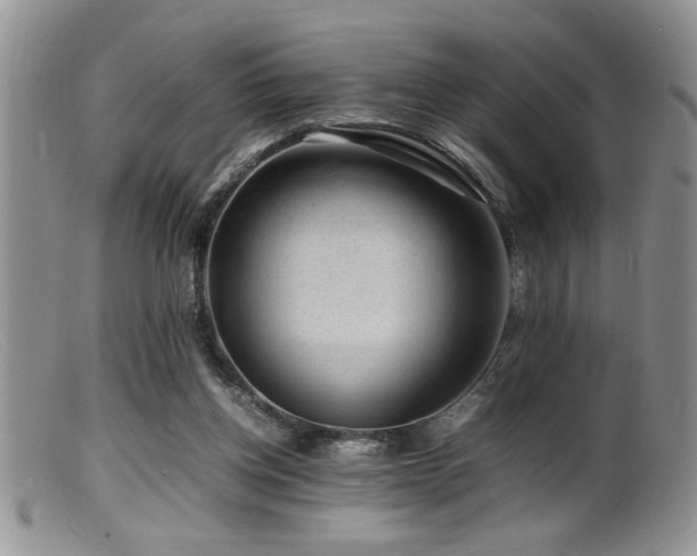 X0000099510158200805151508