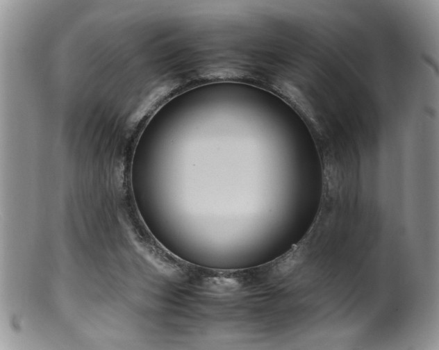 X0000099510159200805151508