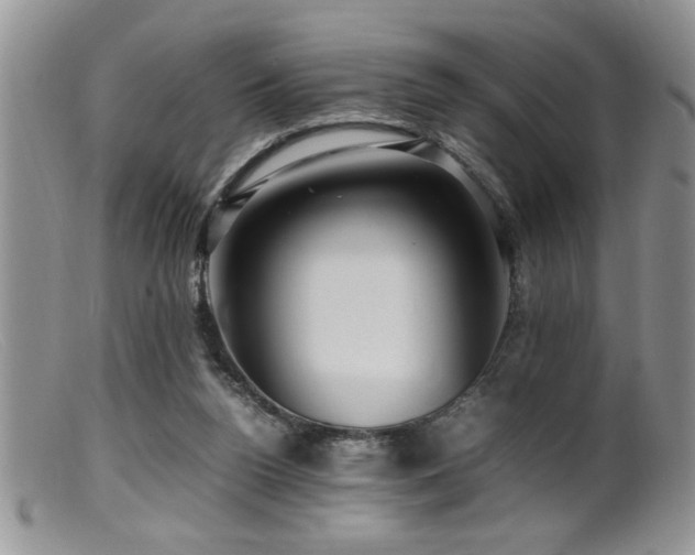 X0000099510160200805151508