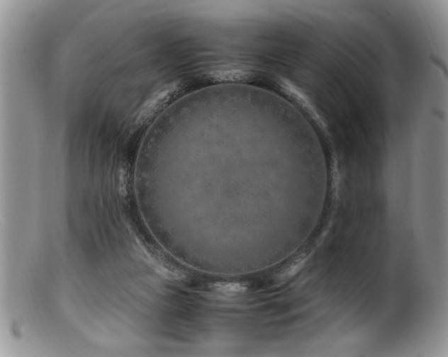 X0000099510161200805151508