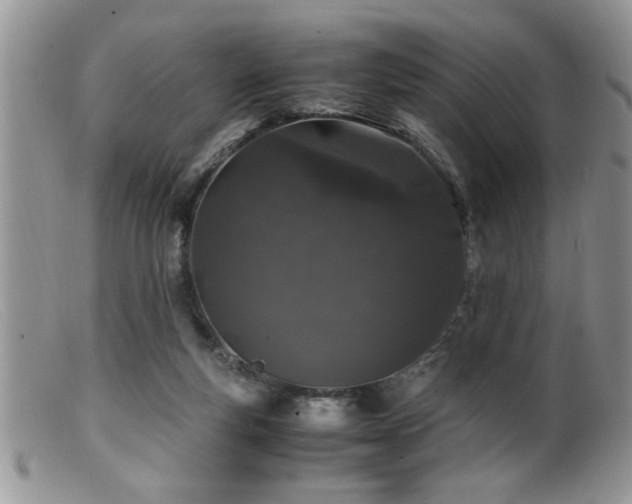 X0000099510163200805151508