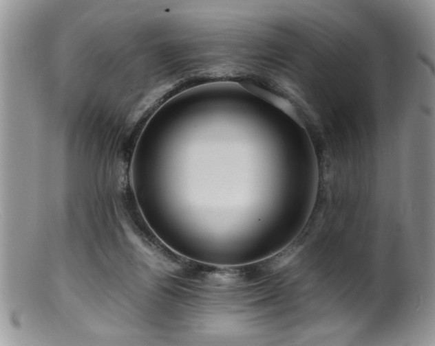 X0000099510164200805151508
