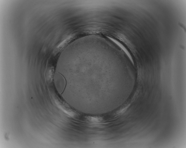 X0000099510165200805151508