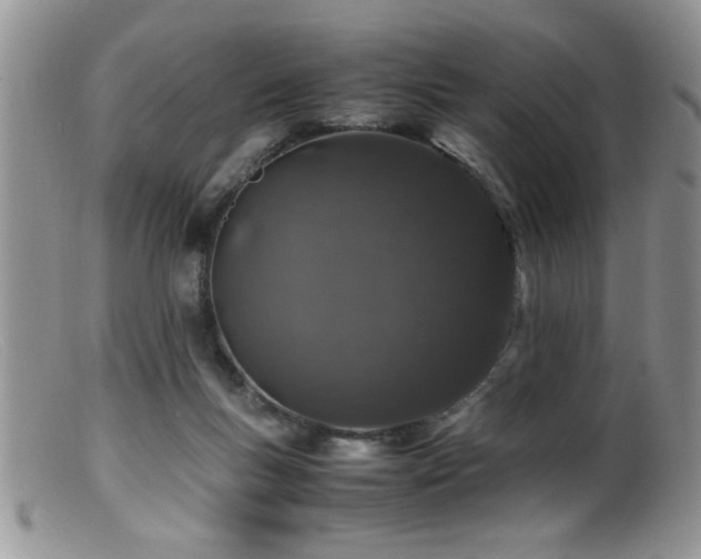 X0000099510167200805151508