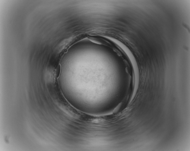X0000099510168200805151508