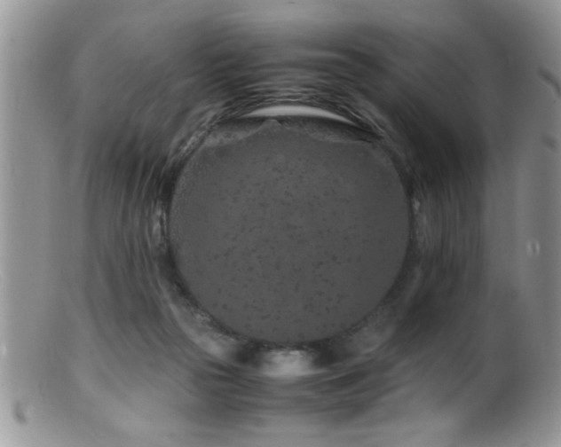 X0000099510169200805151509