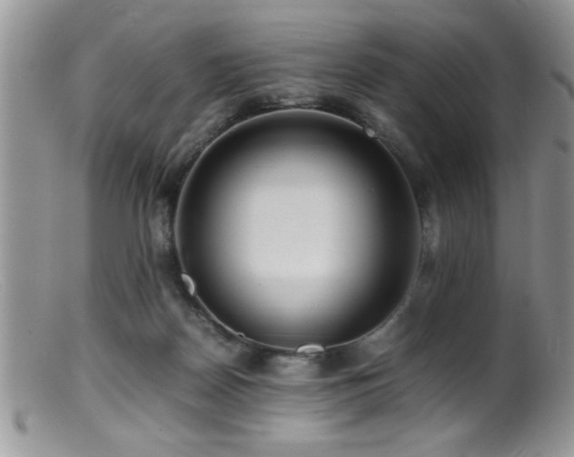 X0000099510170200805151509
