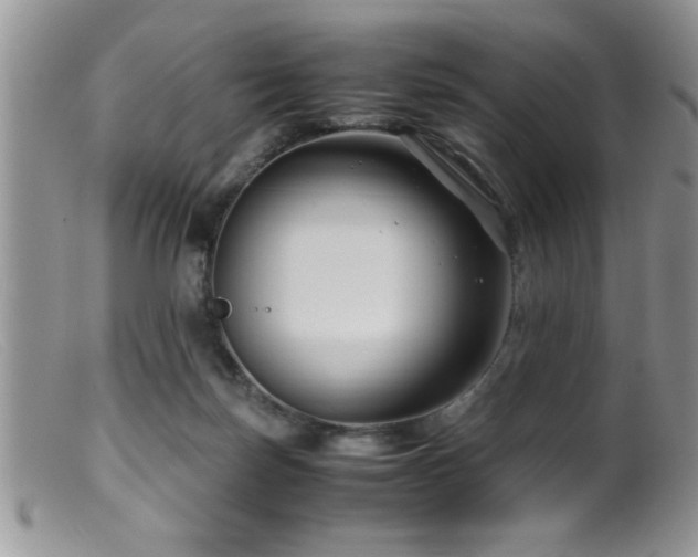 X0000099510171200805151509