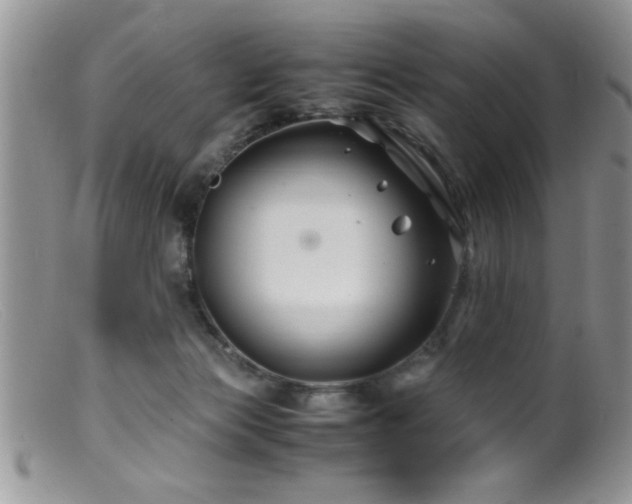 X0000099510173200805151509