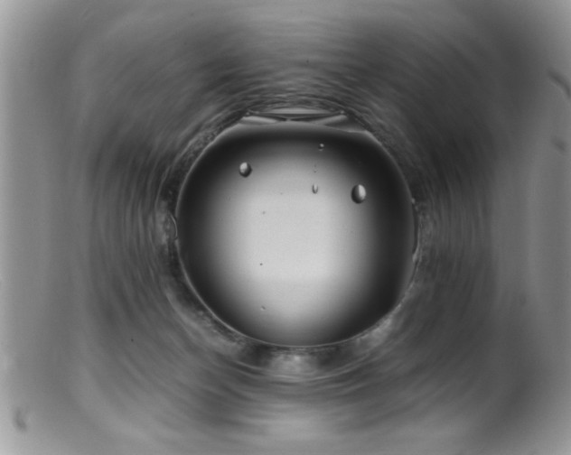 X0000099510174200805151509
