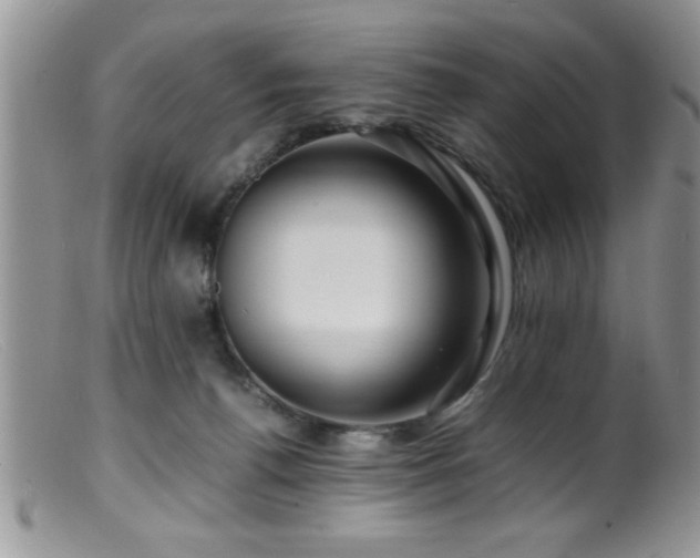 X0000099510176200805151509