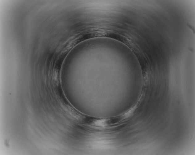 X0000099510178200805151509