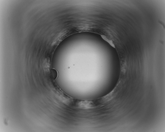 X0000099510179200805151509