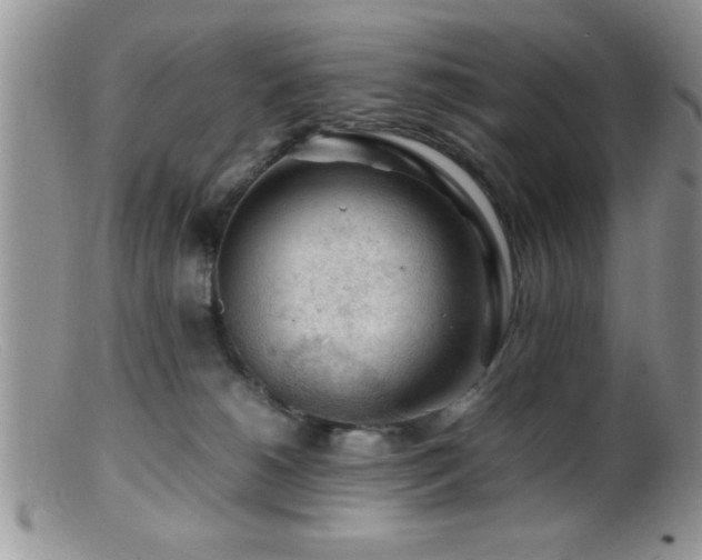 X0000099510180200805151509