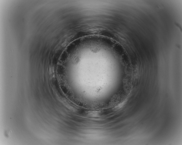 X0000099510182200805151509