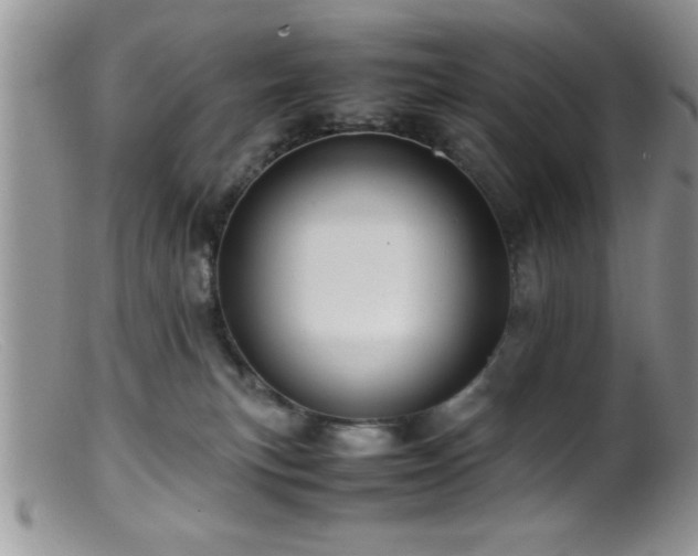 X0000099510183200805151509