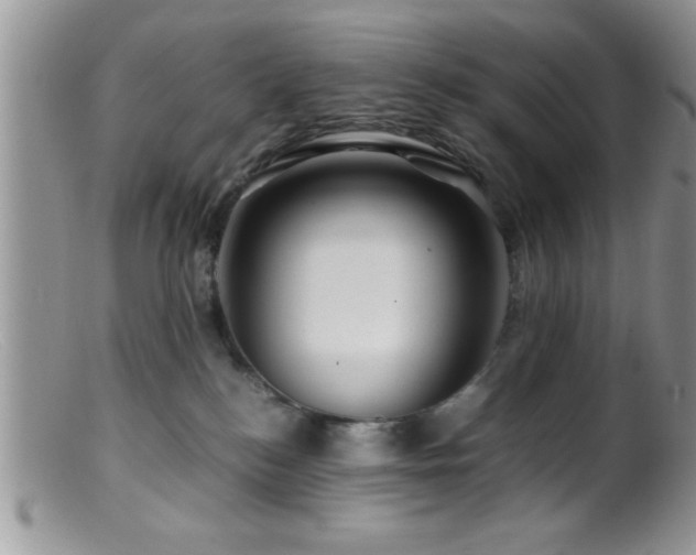 X0000099510184200805151509