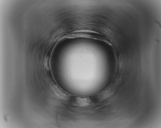 X0000099510185200805151509