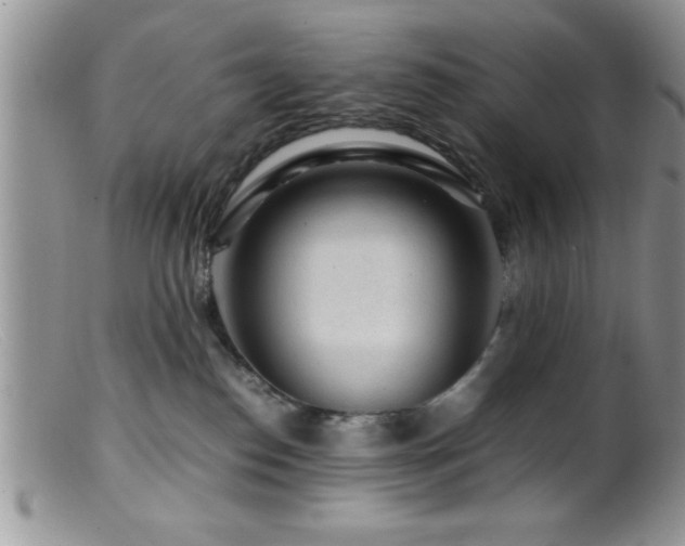 X0000099510186200805151509