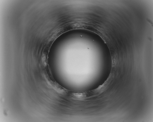 X0000099510187200805151509